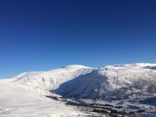 Oppheim-myrkdalen Privat Hytte