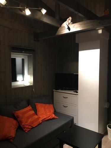 Oppheim-myrkdalen Privat Hytte