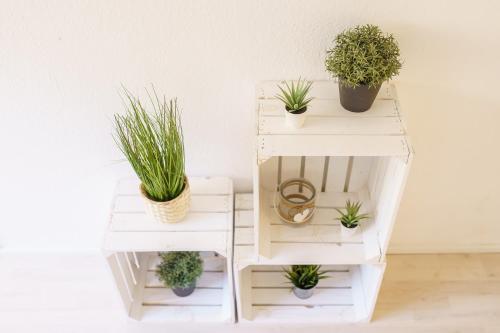 Apartamento Summer Break 3