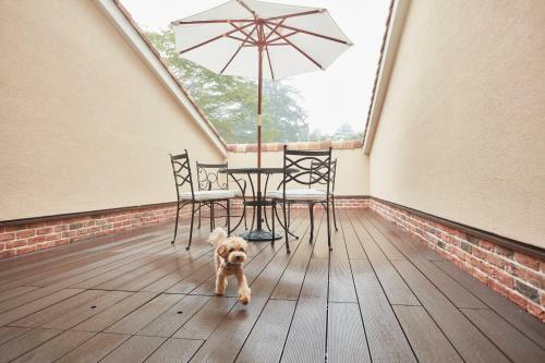 Hotel Le Chien Kyukaruizawa