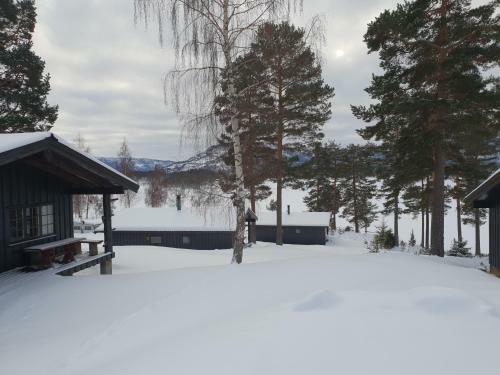 Lodge Nedre Strand Hytteutleie