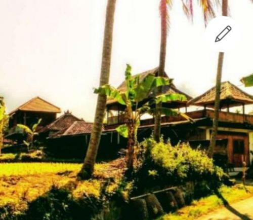 Pondok Diana Arta