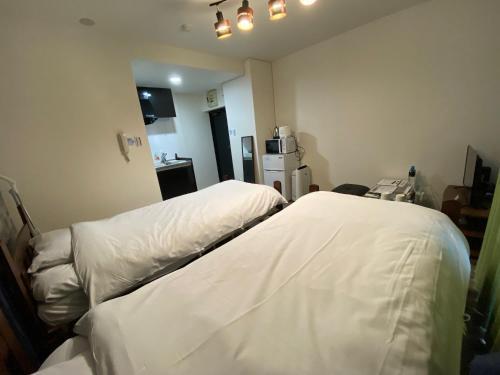 Apartamento Escurrent Kiyokawa - Vacation Stay 12225
