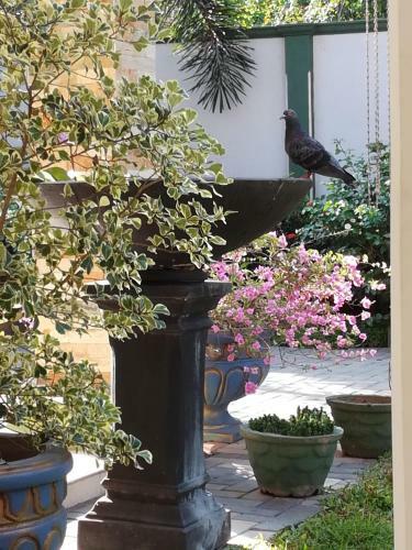 Bed & Breakfast Royal Nest