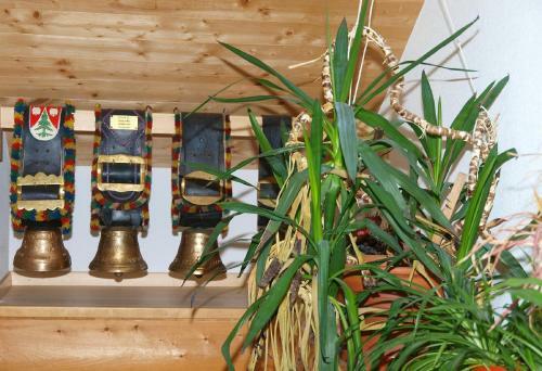 Agroturismo Bauernhof Madlener Claudia