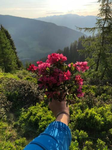 Hotel Schneekarh�tte Im Sommer