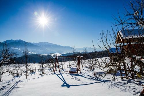 Apartamento Ferienwohnungen Plattnerhof
