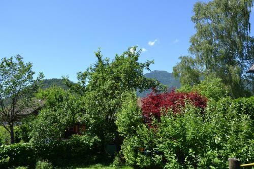 Apartamento Coralie