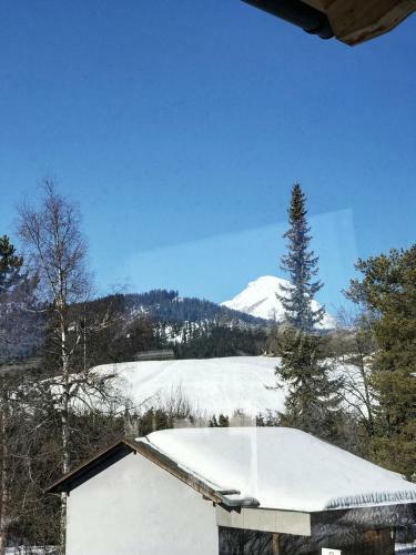 Apartamento Bio Ferienwohnung Am Wildsee In Seefeld