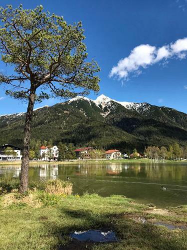 Apartamento Bio Ferienwohnung Am Wildsee In Seefeld