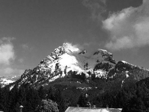 Apartamento Living Mountain Tannheim