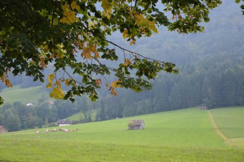 Agroturismo Pension Zenzlgut