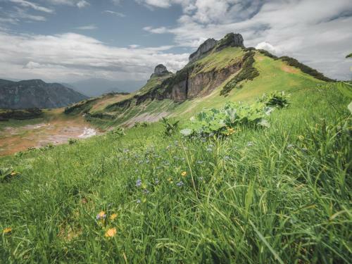 Apartamento Alpenglueck Tauplitz