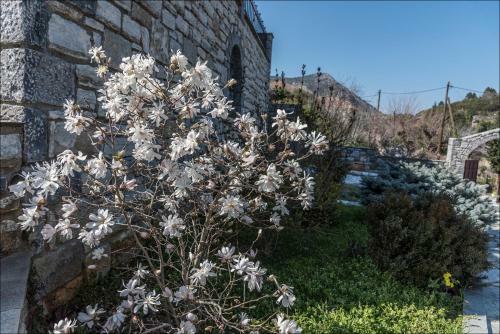 Stone Mansion Anavryti, ??? 20569