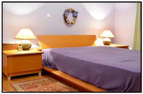 Apartamento Luxury Stone Villa In Mystras