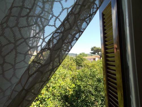 Apartamento Art Flowers And Culture
