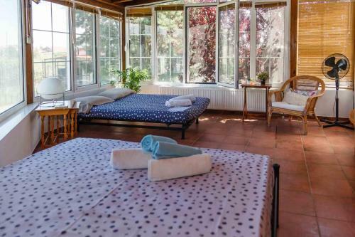 Seaside Villa Halkidiki
