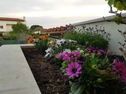 Villa Anna's Sweet Home