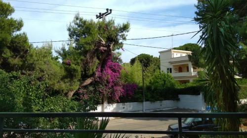 Apartamento Zoumperi Full House
