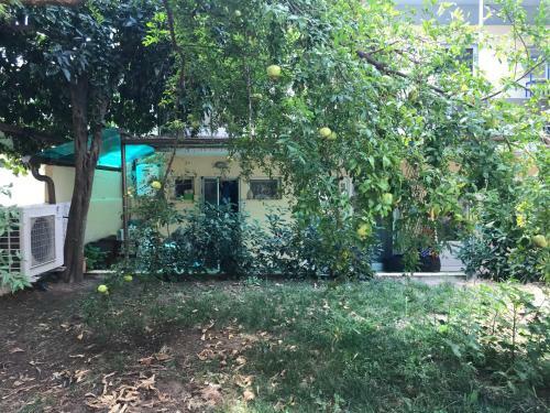 Apartamento Odyssea Guest House