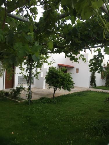 Apartamento Ninemia Naxos