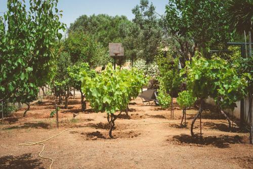 Agroturismo Marianna Cottage