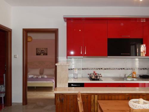 Palm House Nikiti - Apartments Vicky