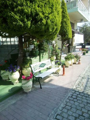 Apartamento House Stella