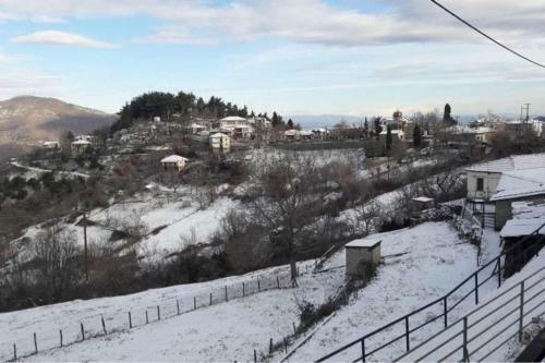 Villa Peukofyto Mountain Retreat