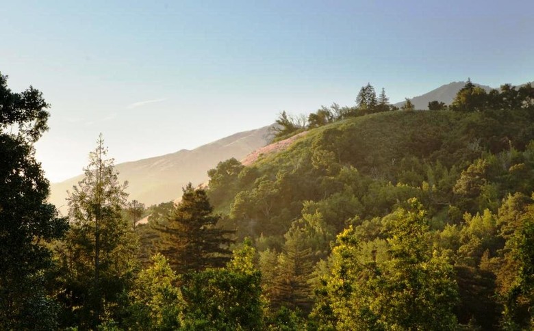 Hotel Ventana Big Sur, An Alila Resort Adult Only