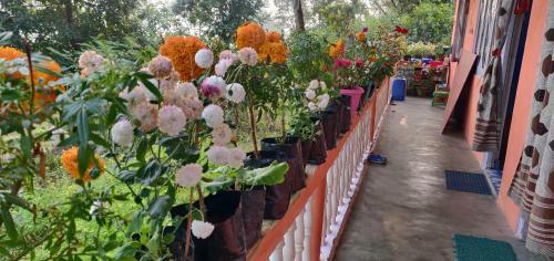 Teesta Tendong Homestay