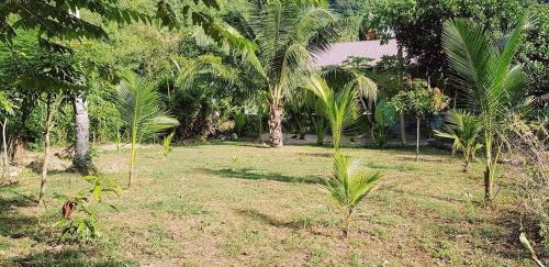 Baan Hinlad Home And Hostel