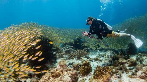 Hotel Forra Dive Resort Sunrise