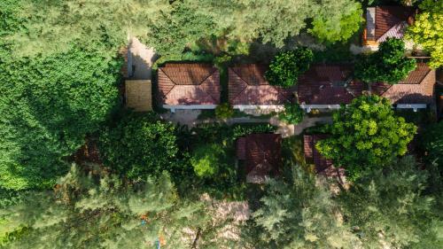 Hotel Wapi Resort