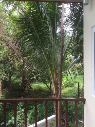 Jungle View Suite