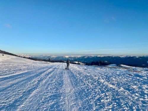 Apartamento Vl-wohnen Alpin Estate