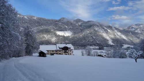 Apartamento Ferienhaus Enzi