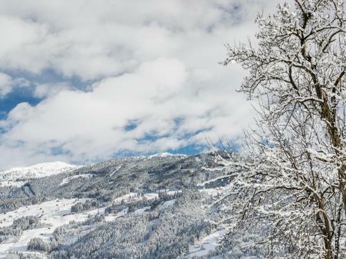Apartamento Haus Zillertal
