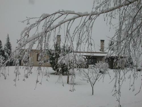 Villa The Garden Lodge