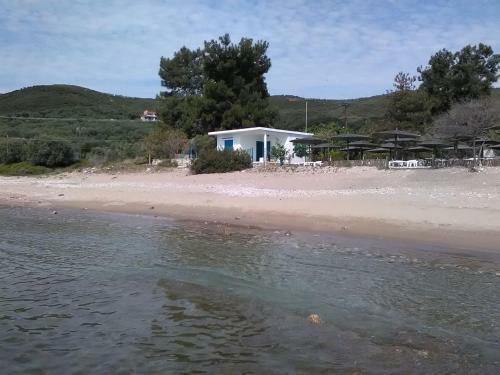 House Kokkalas