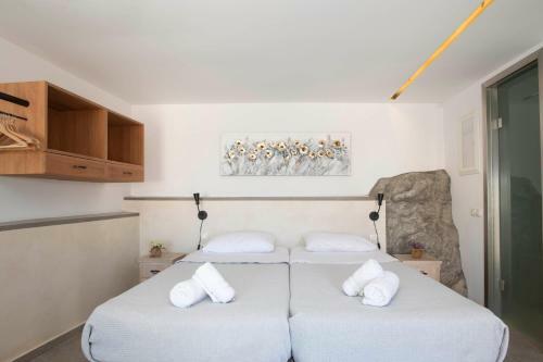 Nestor's Studio House