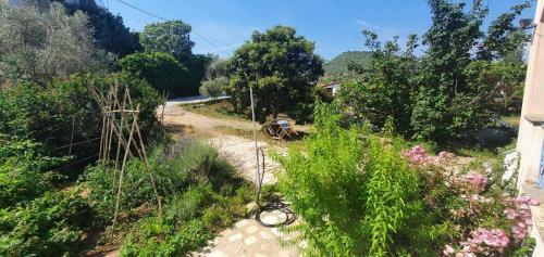 Apartamento Eleni Karouti Rooms For Rent