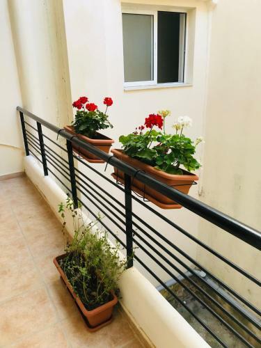 Cozy Apartment Near City Center
