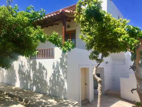Goldy's Naturale Traditional Home