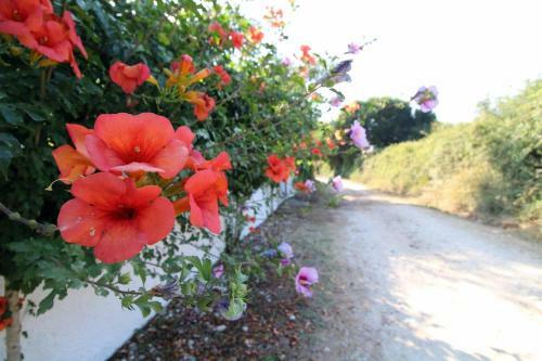 Apartamento Katomeris Beach House