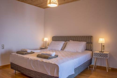 Anastasis Luxury Villa Andros With Heated Pool