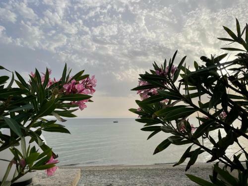 Apartamento Sweet Dreams At The Seaside