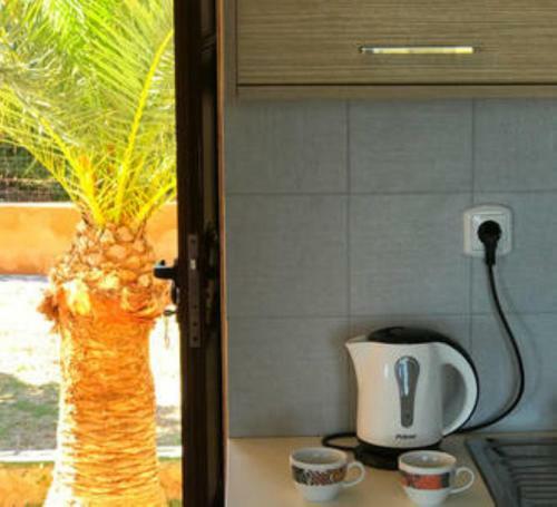 Makis Apartments Agia Fotia Sitia