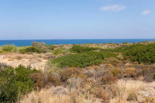 Makis Apartments Agia Fotia Sitia