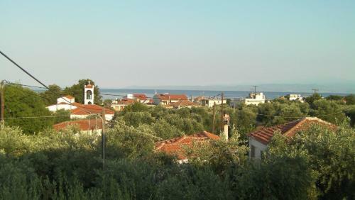 Joanna's House